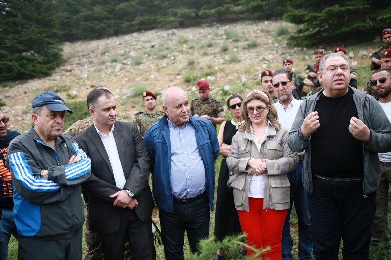 Cedar tree in memory of the Lebanese Commandos Regiment founder